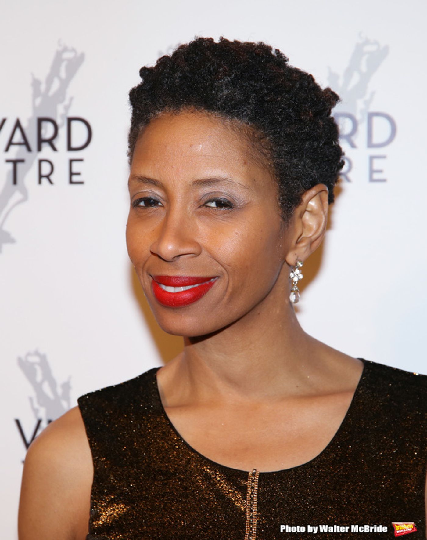 Photo Coverage: On the Red Carpet for Vineyard Theatre's 2016 Gala!  Image