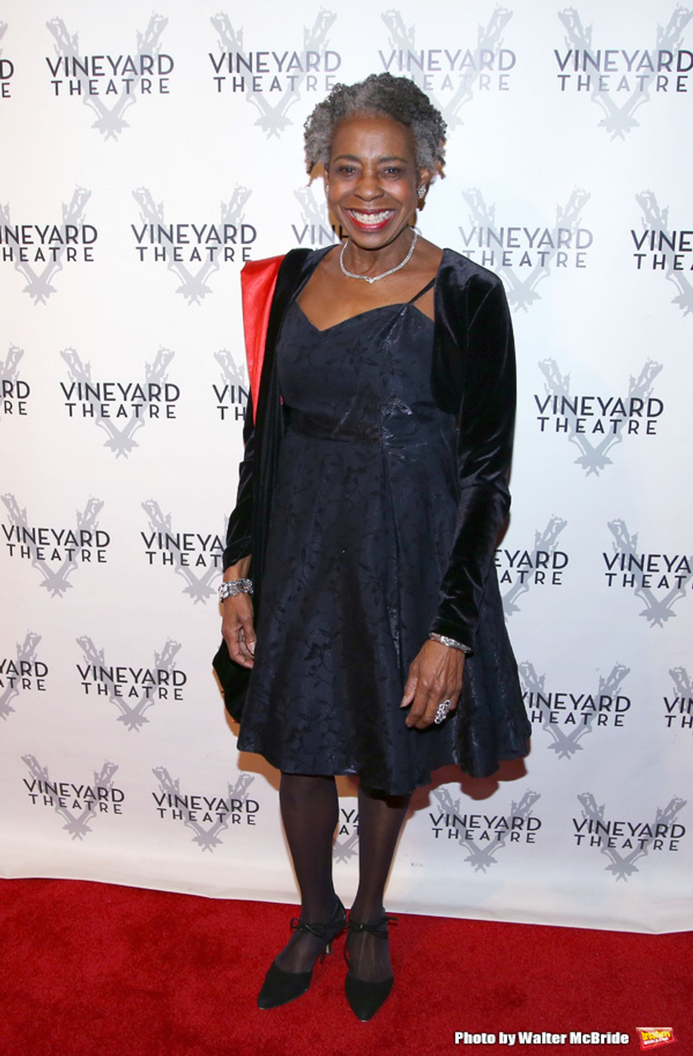 Photo Coverage: On the Red Carpet for Vineyard Theatre's 2016 Gala!  Image