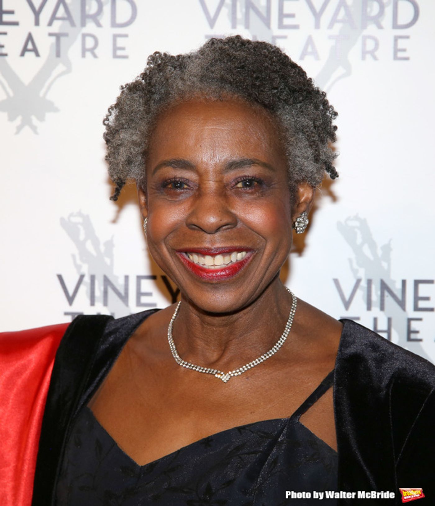 Photo Coverage: On the Red Carpet for Vineyard Theatre's 2016 Gala!  Image