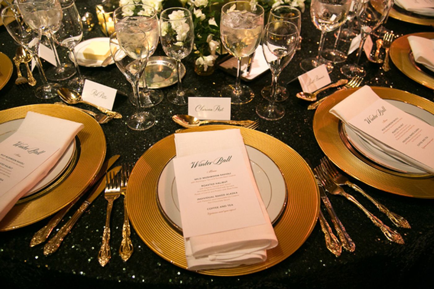 Photo Flash: The School of American Ballet's 2016 WINTER BALL Raises Nearly $1.2 Million  Image