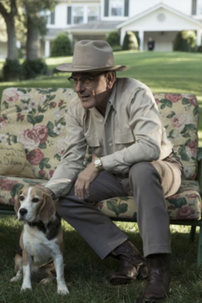 Bryan Cranston Photo