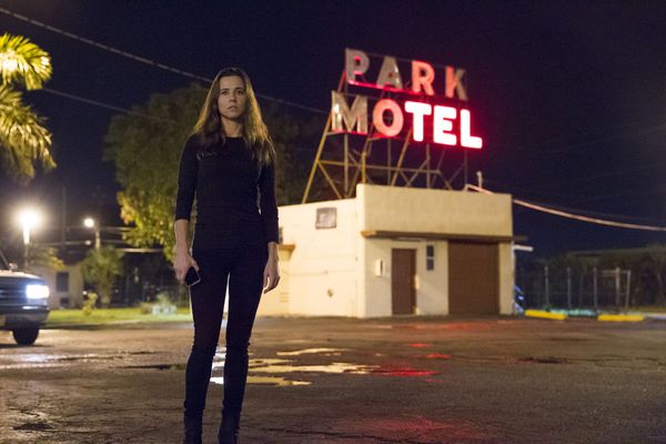 Linda Cardellini Photo