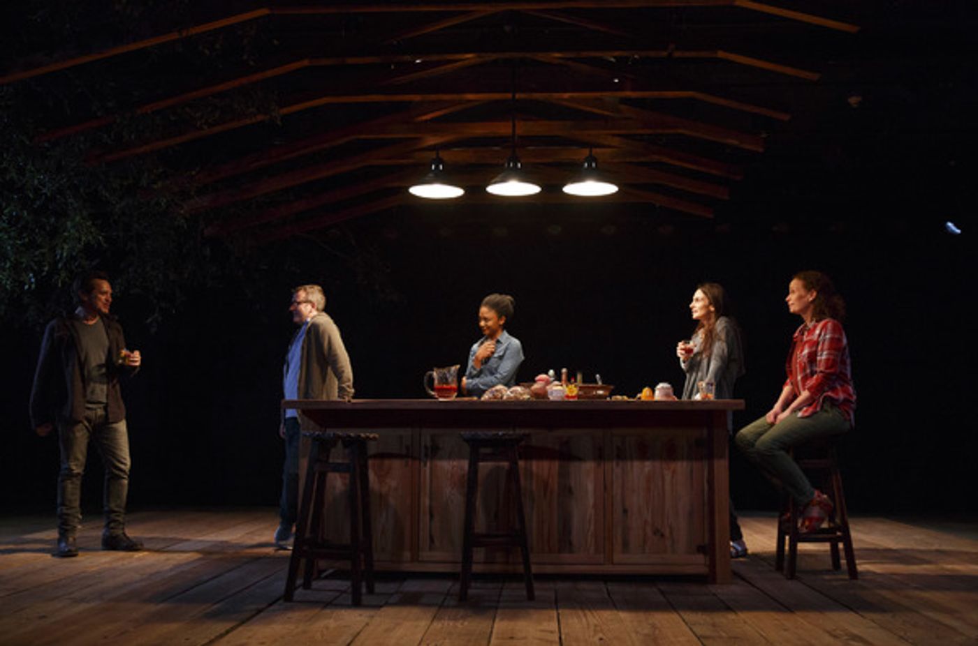 Photo Flash: First Look at Anne Washburn's ANTLIA PNEUMATICA at Playwrights Horizons  Image