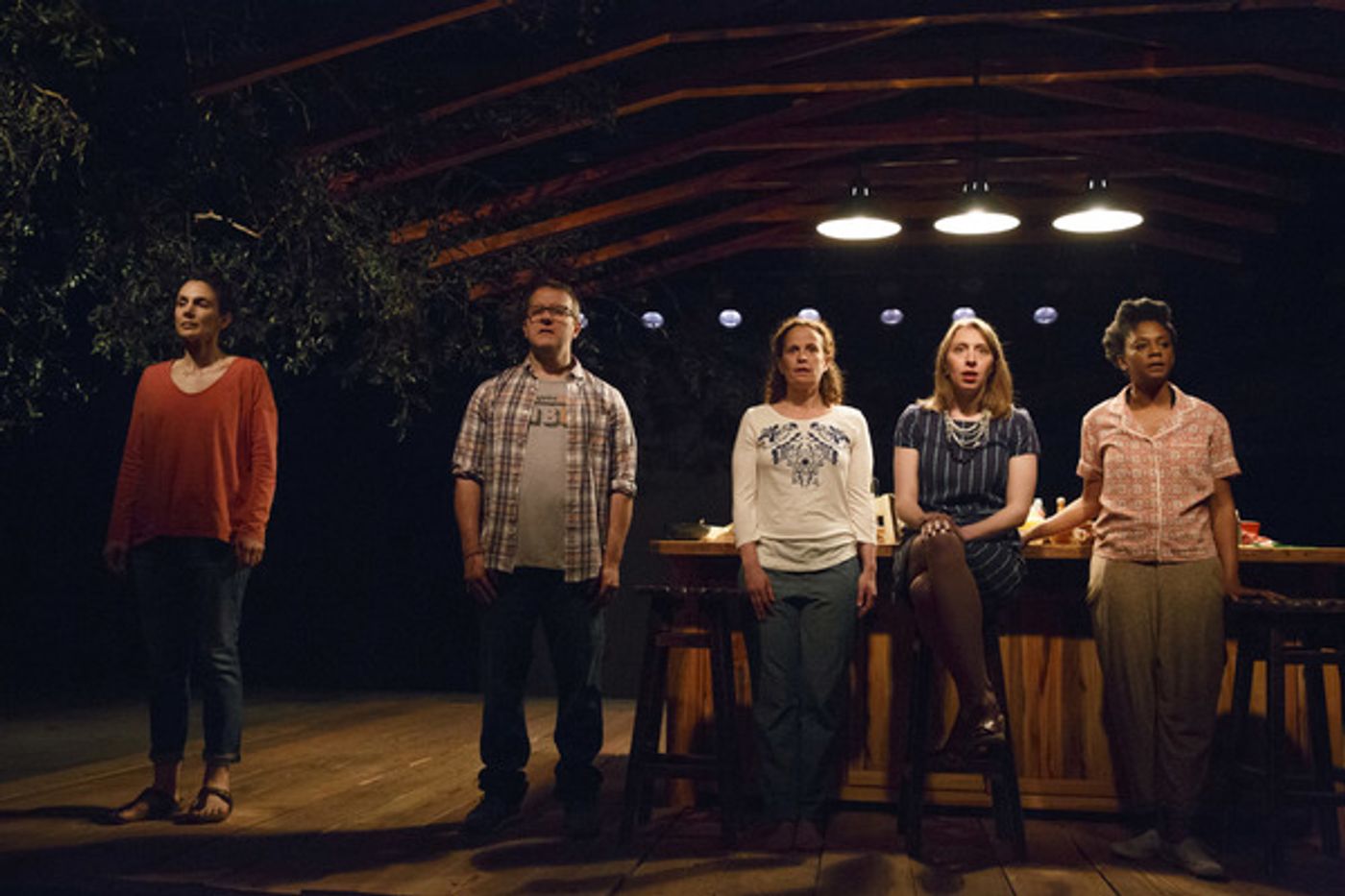 Photo Flash: First Look at Anne Washburn's ANTLIA PNEUMATICA at Playwrights Horizons  Image