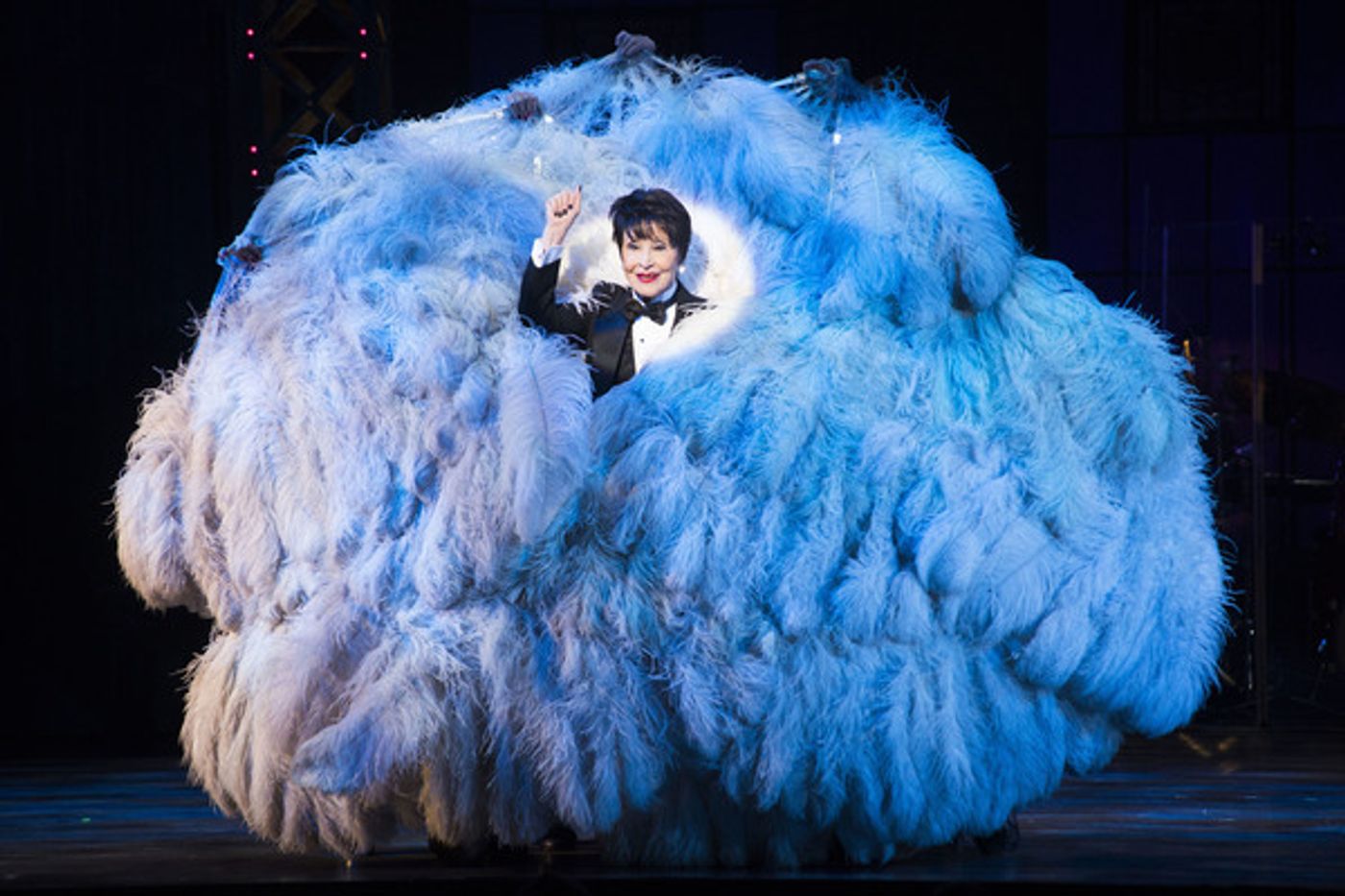 Photo Flash: BROADWAY BACKWARDS, Featuring White, Rivera, Johnson, Brooks and More, Raises Record $480K for BC/EFA  Image