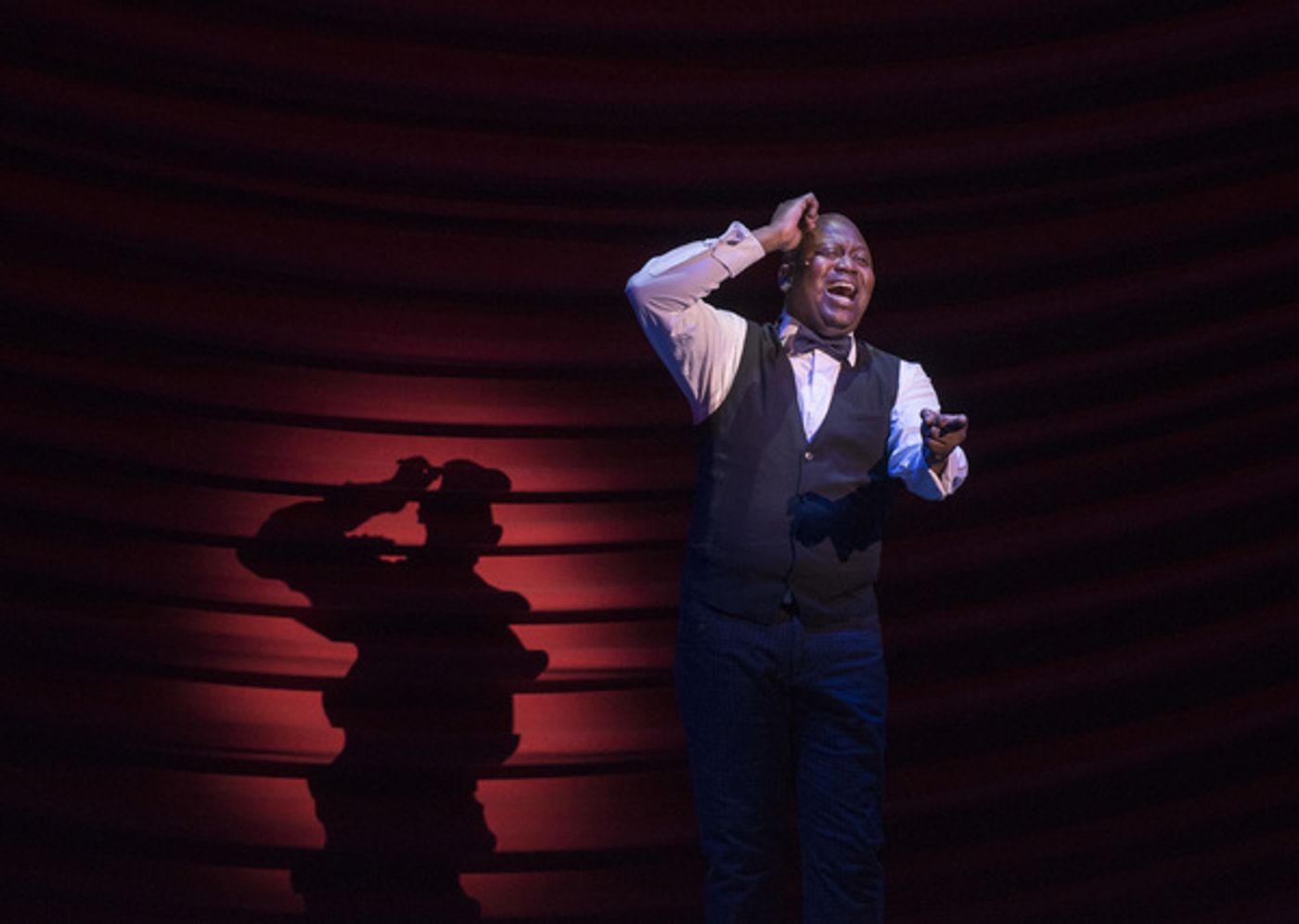 Photo Flash: BROADWAY BACKWARDS, Featuring White, Rivera, Johnson, Brooks and More, Raises Record $480K for BC/EFA  Image