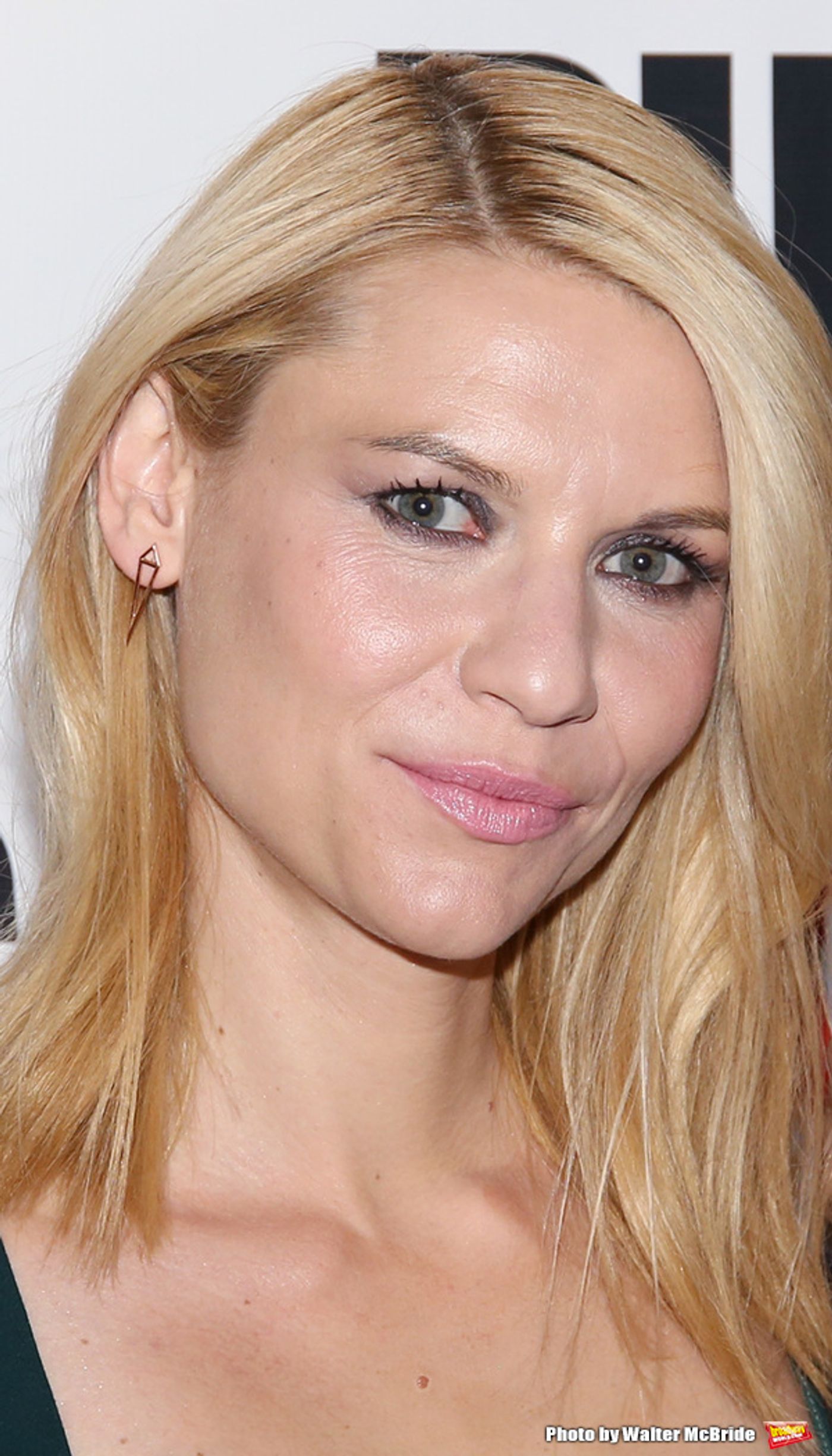 Photo Coverage: Claire Danes, John Krasinski, Hank Azaria & More Celebrate Opening Night of Public Theater's DRY POWDER  Image