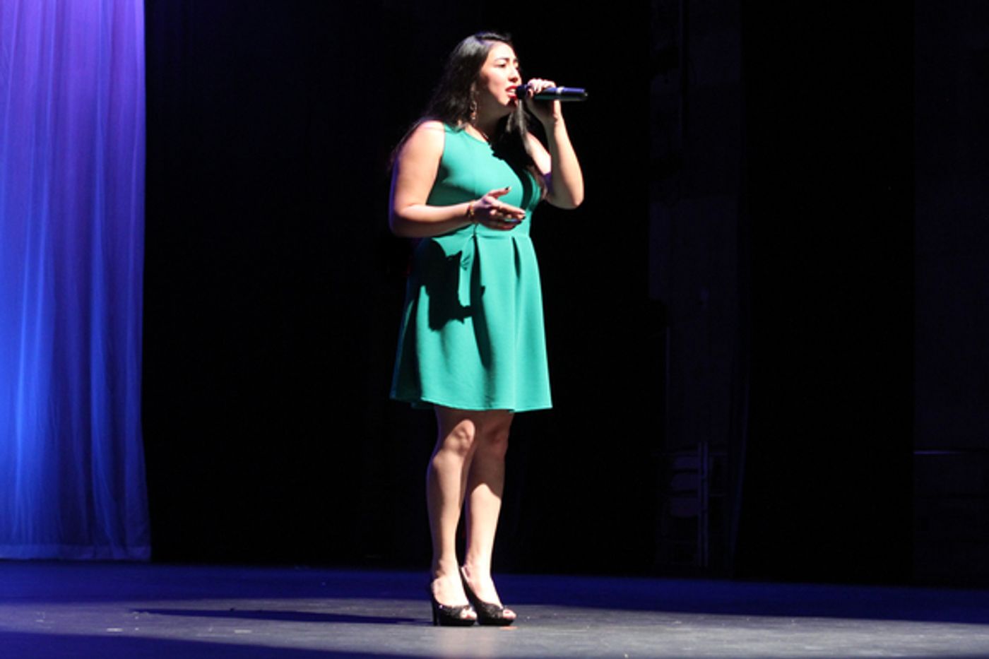 Photo Flash: Broadway, TV, Film, Music and Dance Stars Take Part in KOTA's LYRICS FOR LIFE  Image