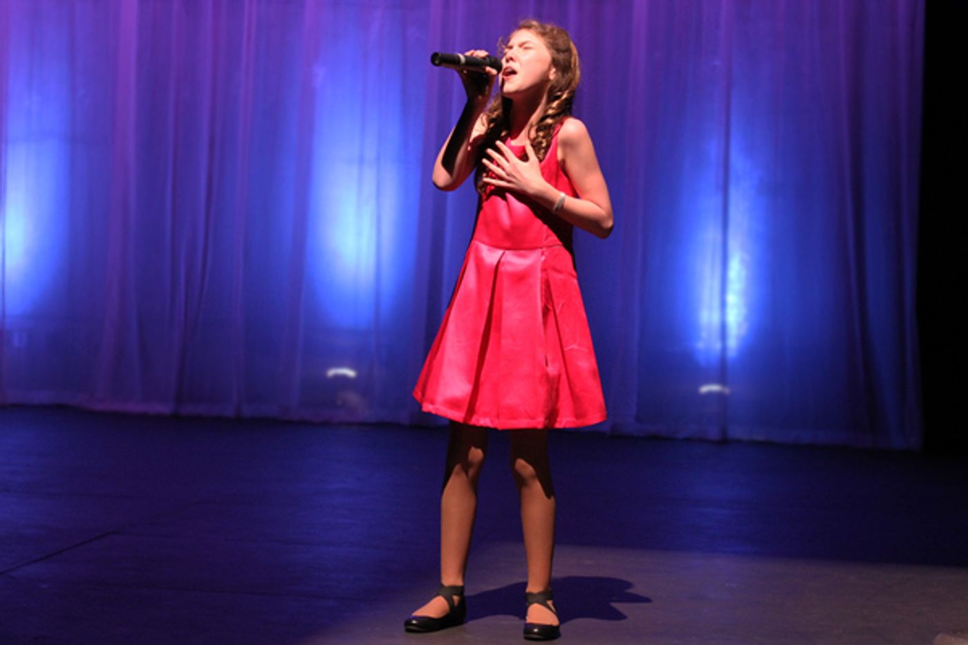 Photo Flash: Broadway, TV, Film, Music and Dance Stars Take Part in KOTA's LYRICS FOR LIFE  Image