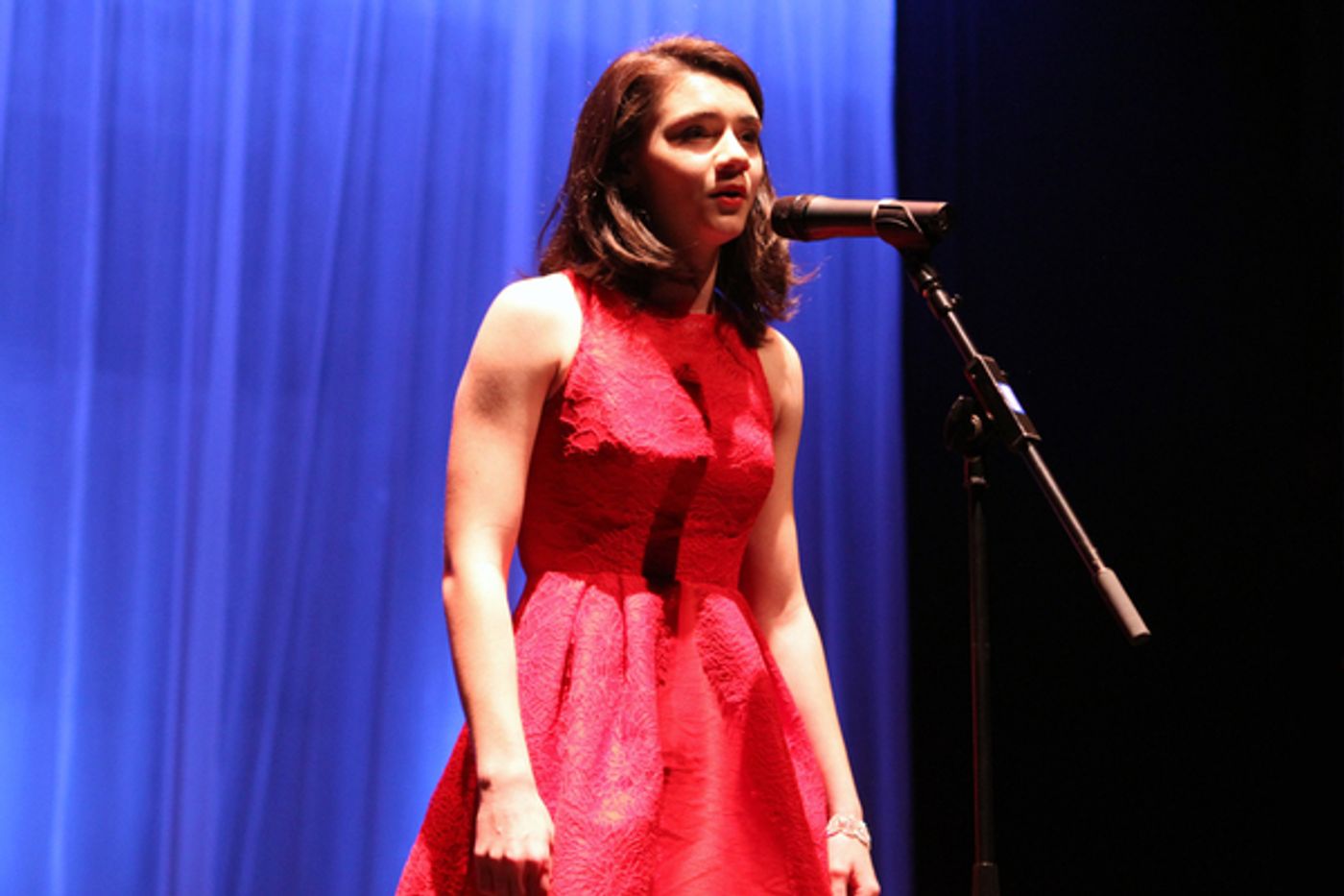 Photo Flash: Broadway, TV, Film, Music and Dance Stars Take Part in KOTA's LYRICS FOR LIFE  Image