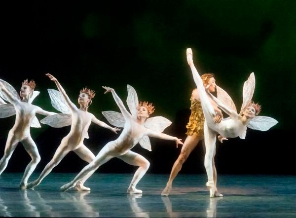 Photo Flash: MCB's A MIDSUMMER NIGHT'S DREAM Features Michele Oka Doner's Ocean-Inspired Costumes  Image