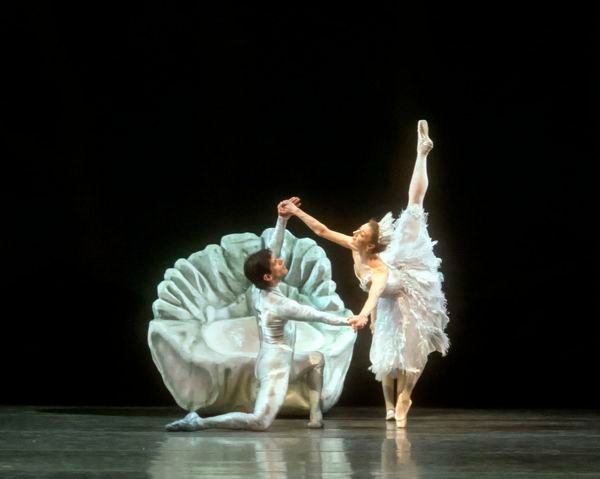 Photo Flash: MCB's A MIDSUMMER NIGHT'S DREAM Features Michele Oka Doner's Ocean-Inspired Costumes  Image