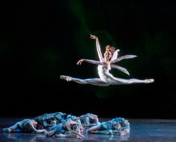 Photo Flash: MCB's A MIDSUMMER NIGHT'S DREAM Features Michele Oka Doner's Ocean-Inspired Costumes  Image