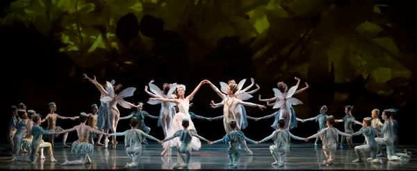 Photo Flash: MCB's A MIDSUMMER NIGHT'S DREAM Features Michele Oka Doner's Ocean-Inspired Costumes  Image