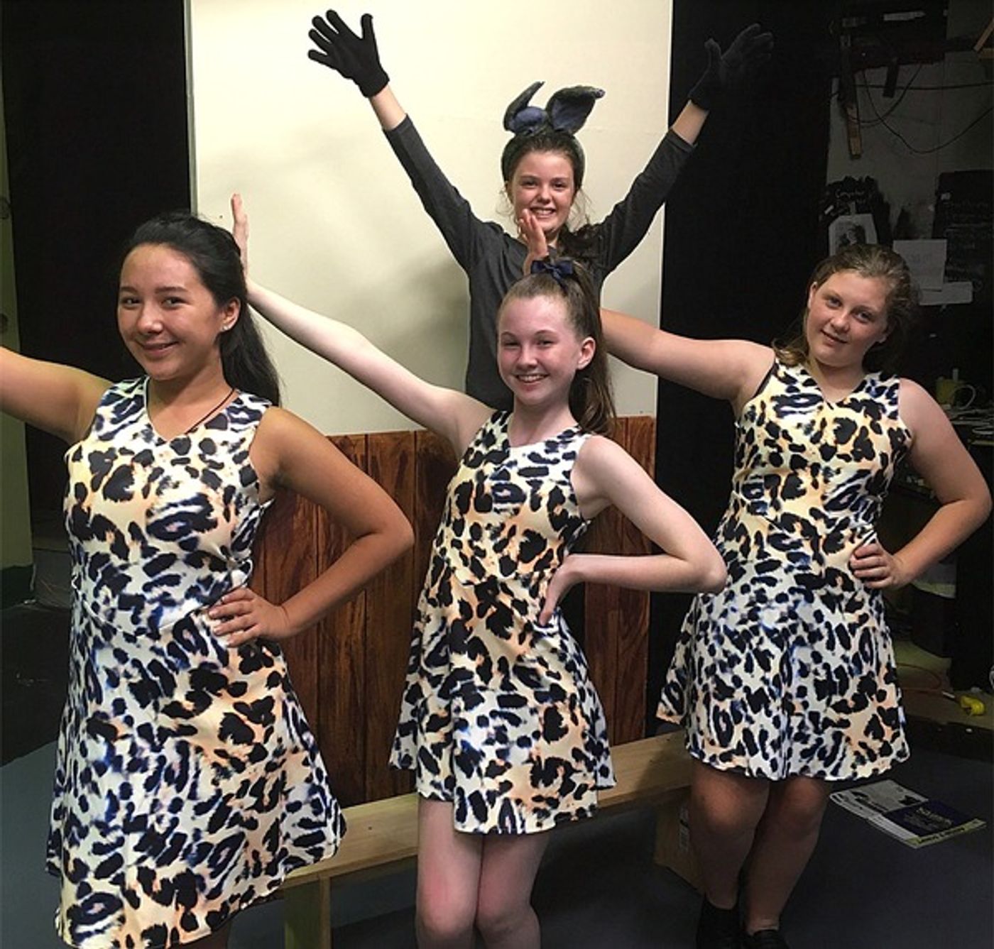 Photo Flash: Meet the Cast of SHREK JUNIOR, Coming to Roleystone Theatre This April  Image