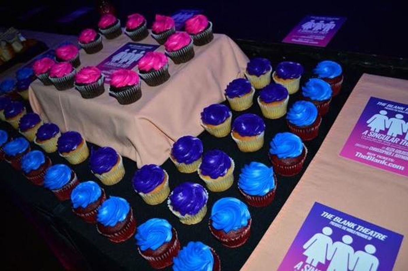Photo Flash: A SINGULAR THEY Celebrates World Premiere at The Blank Theatre  Image