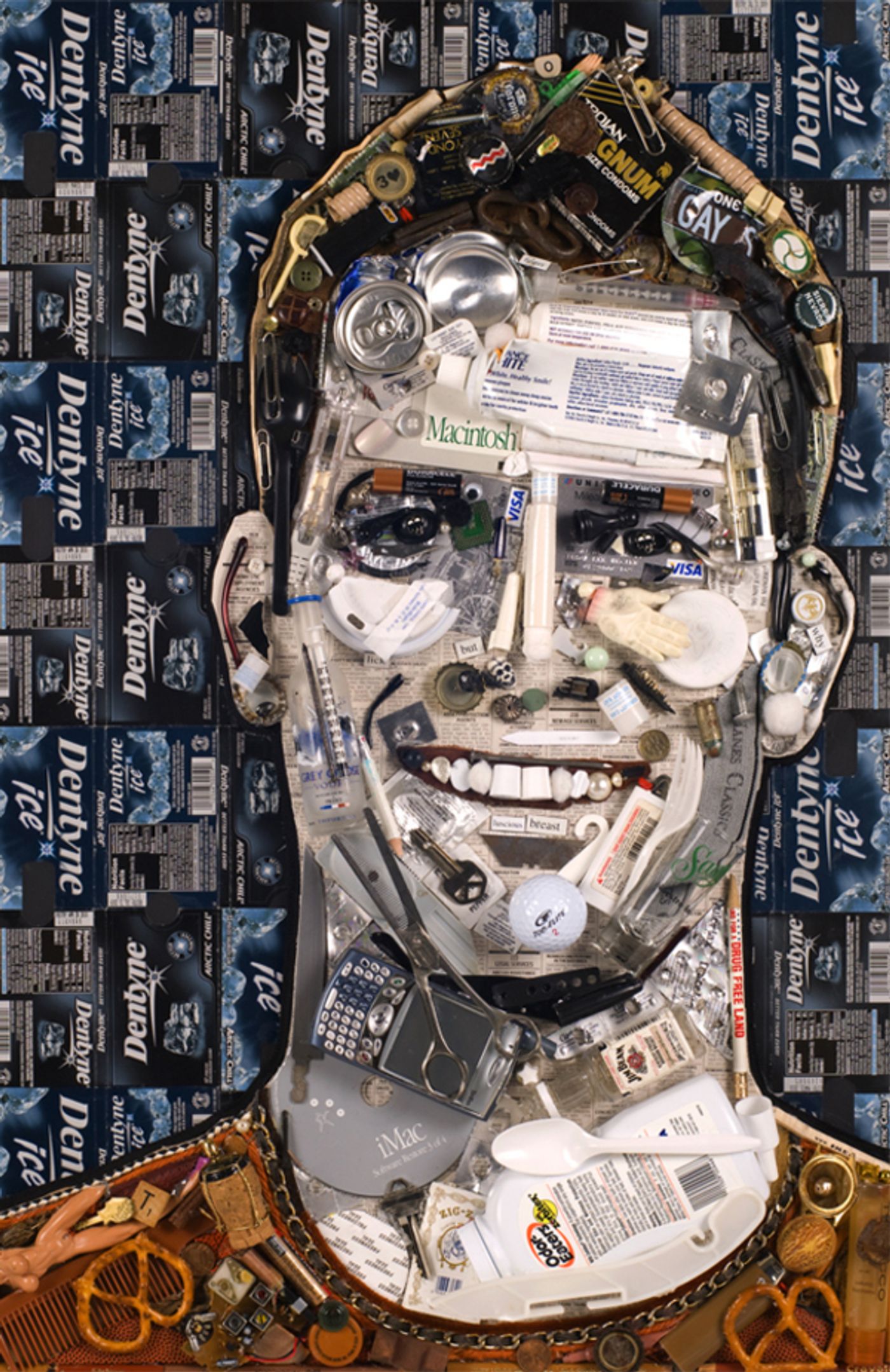 Photo Flash: Artist Jason Mecier Presents CELEBRITY TRASH Portraits - Lindsay Lohan, Pamela Anderson and More!  Image