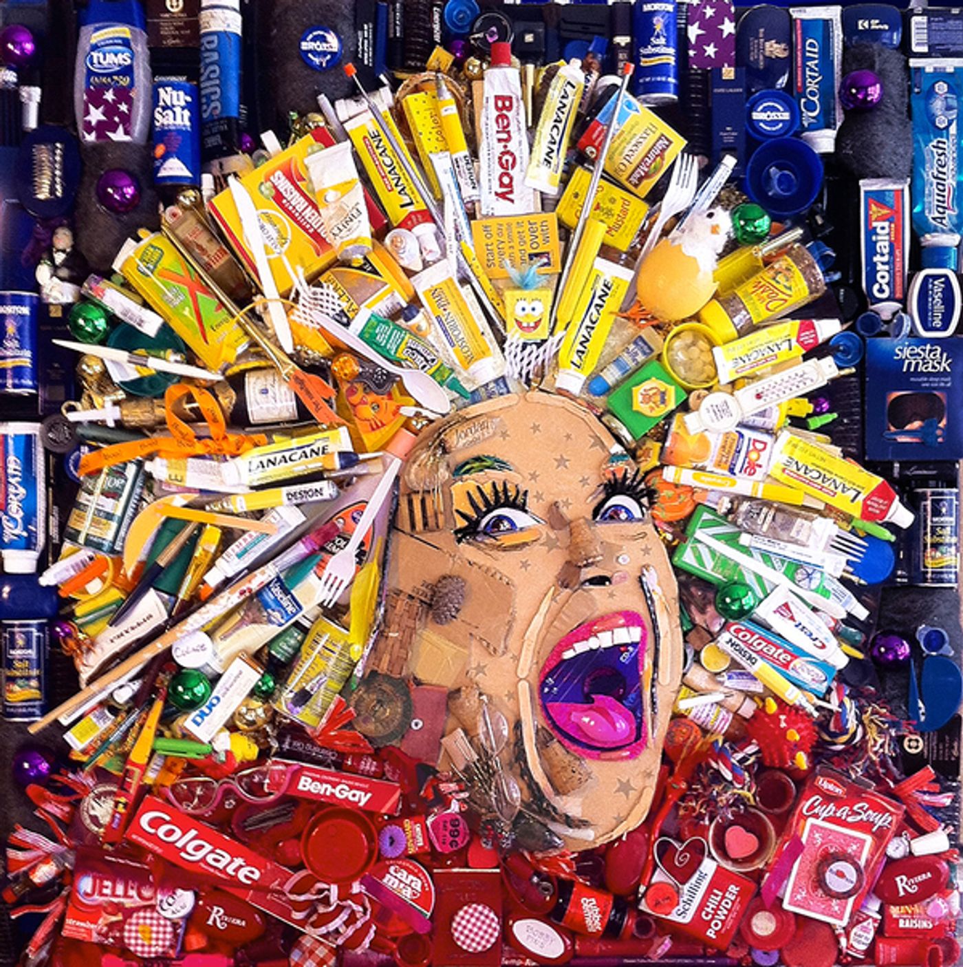 Photo Flash: Artist Jason Mecier Presents CELEBRITY TRASH Portraits - Lindsay Lohan, Pamela Anderson and More!  Image