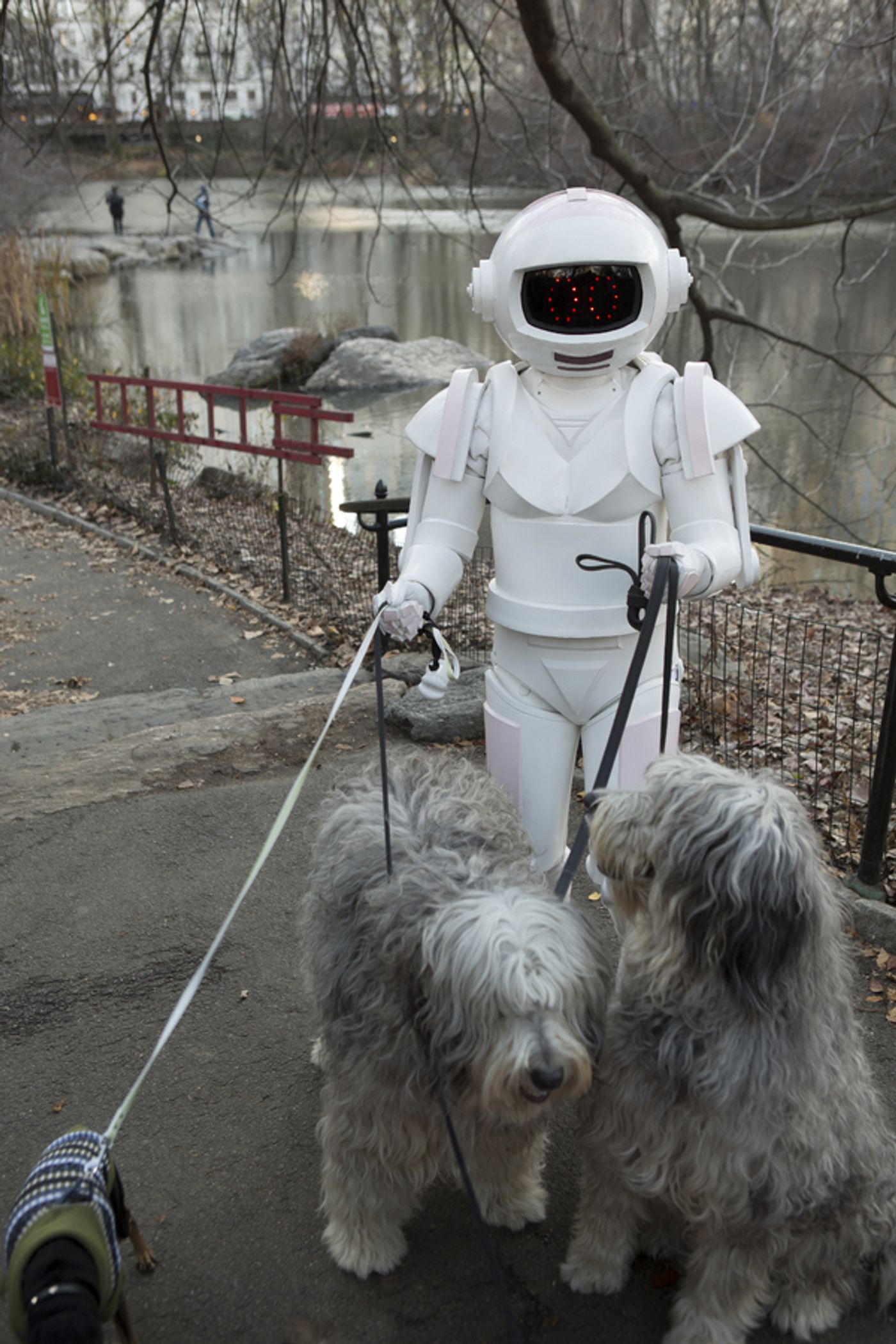 Photo Flash: First Look - Anna Camp, Tina Fey & More Guest Stars on UNBREAKABLE KIMMY SCHMIDT  Image