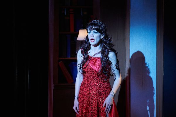 Photo Flash: First Look at INTO THE WOODS at Aurora Theatre Company  Image