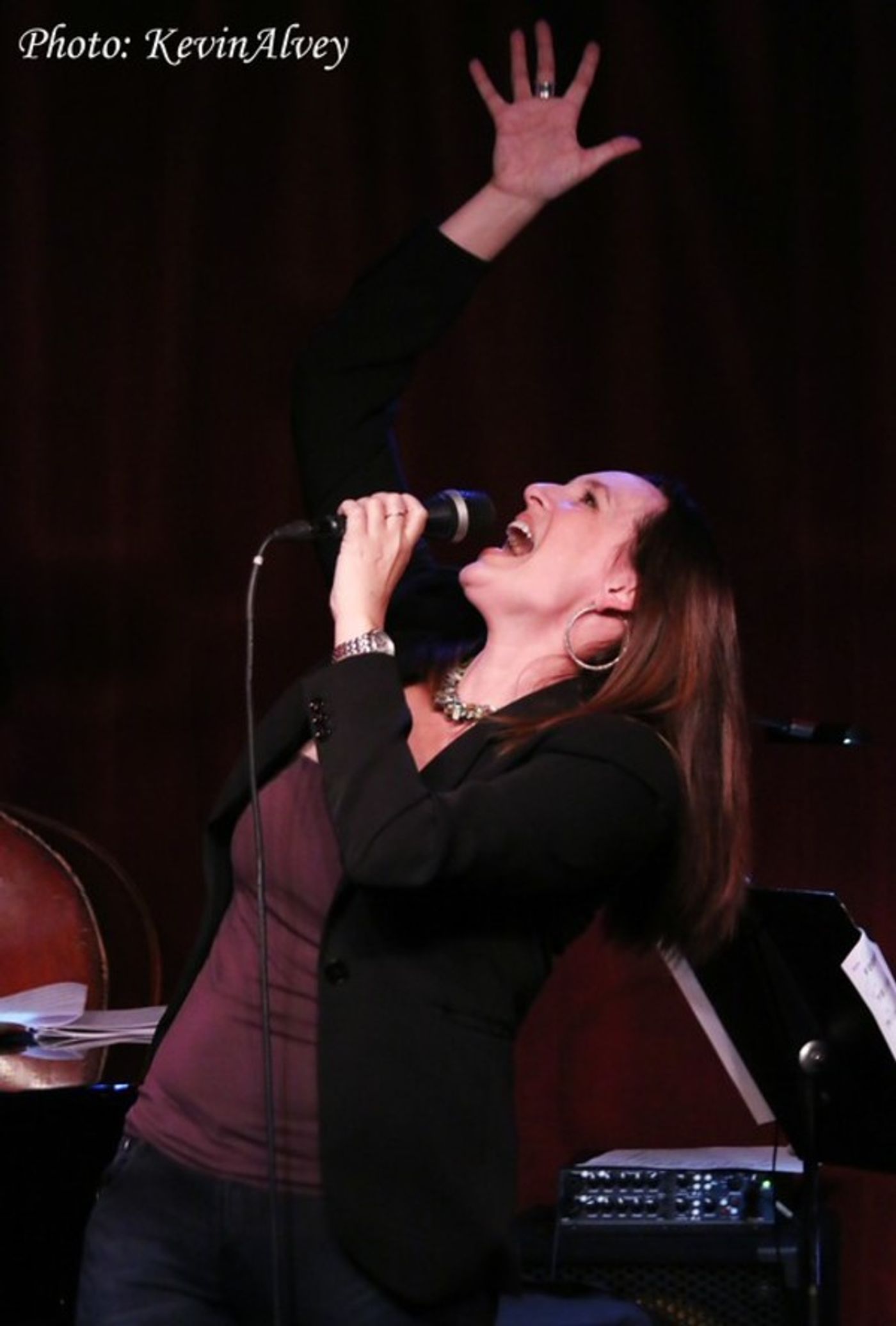 Photo Flash: Nick Adams Brings BROADWAY FOR AFRICA to Birdland  Image