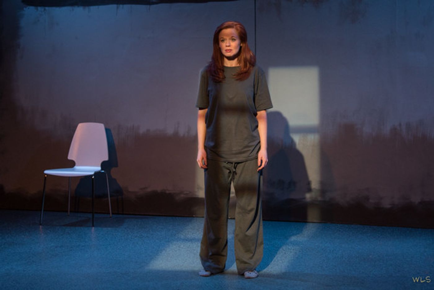 Photo Flash: First Look at MAPLE AND VINE at Firehouse Theatre  Image