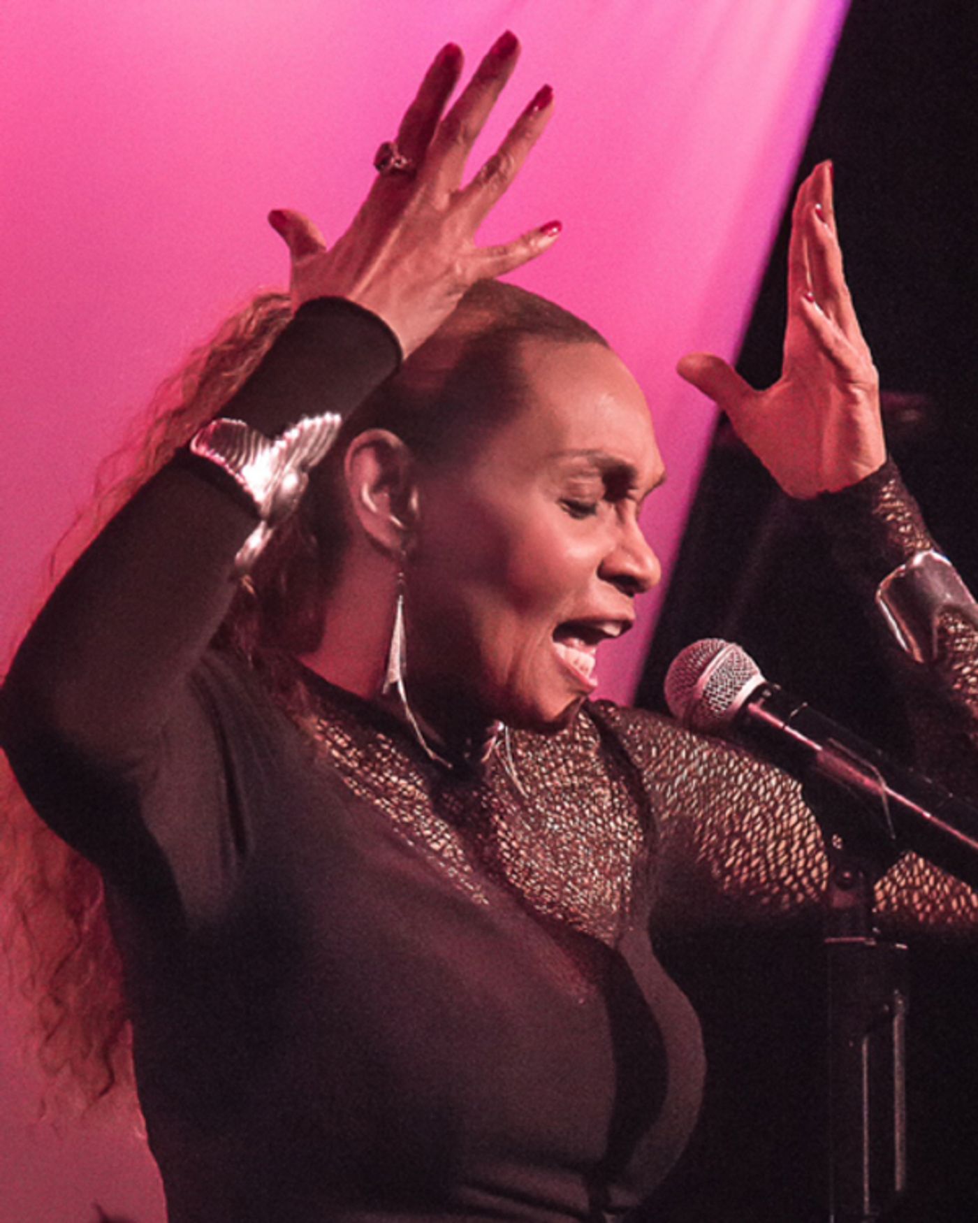 Photo Flash Exclusive: Vivian Reed Premieres New Show 'Standards and More' at the Metropolitan Room  Image