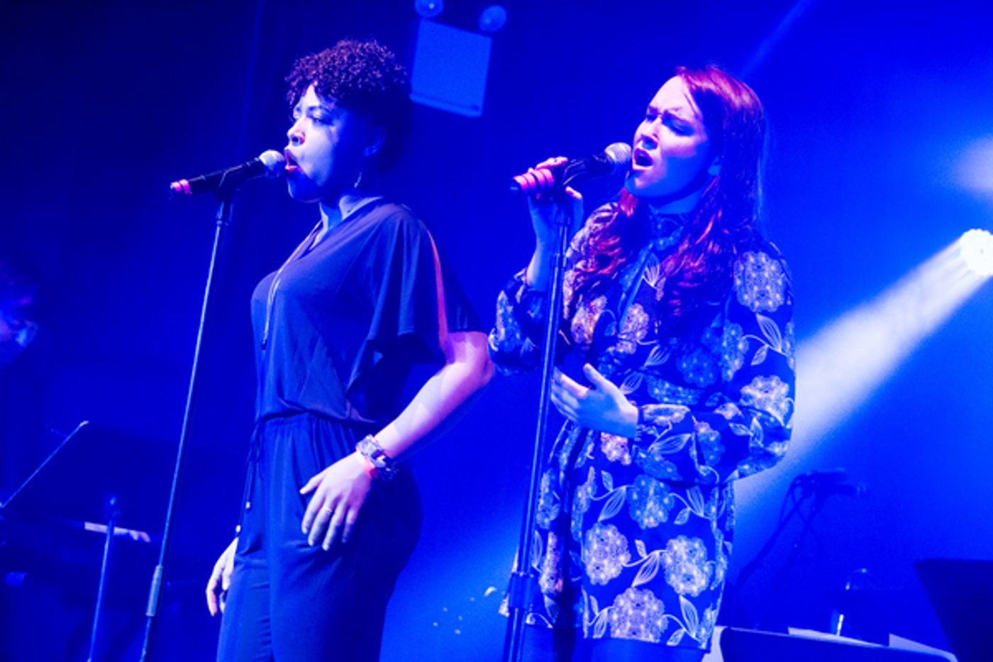 Photo Flash: Danielle Brooks, Ciara Renee & More Honor Whitney Houston at Latest BROADWAY SINGS Show  Image