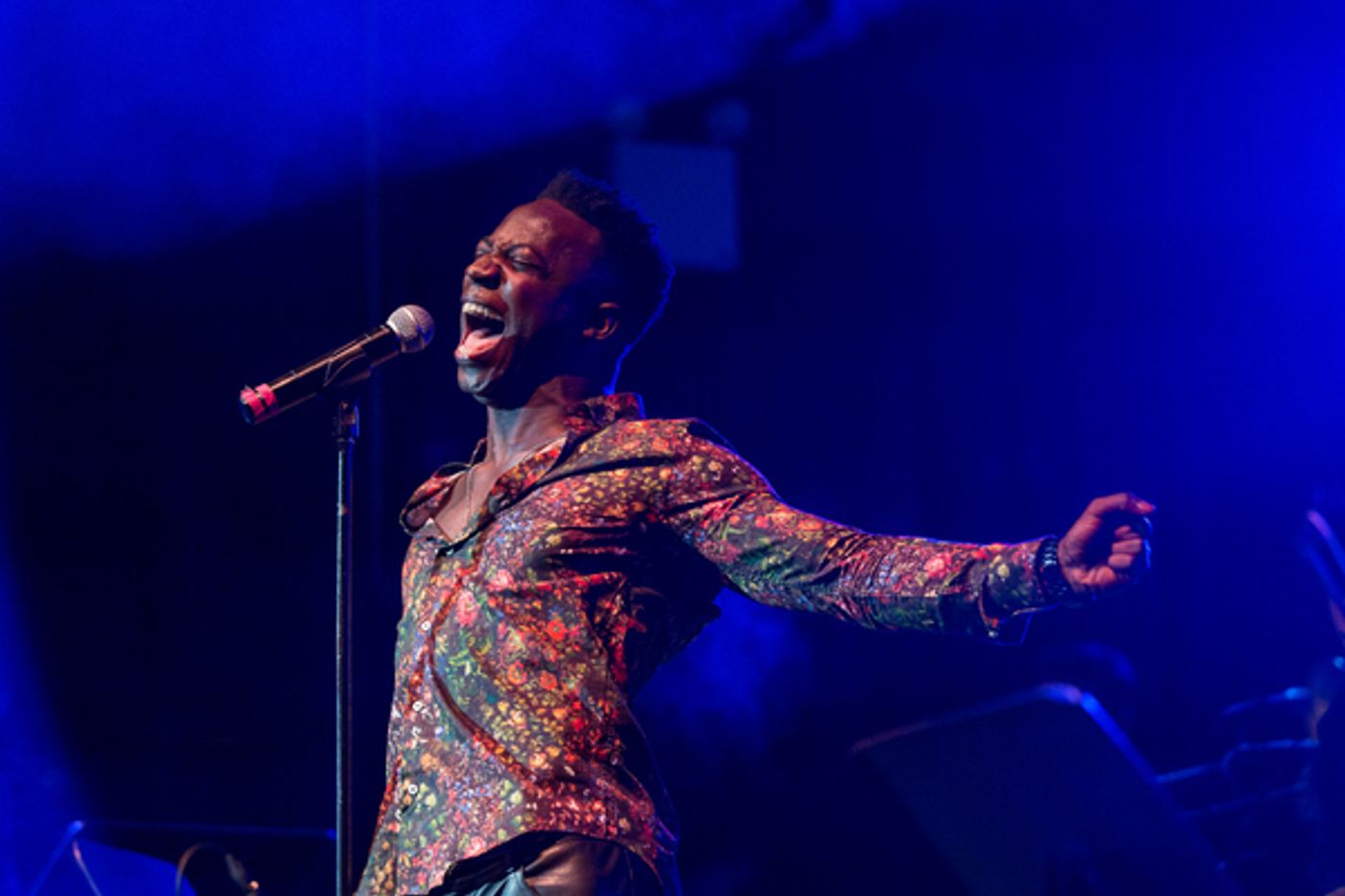Photo Flash: Danielle Brooks, Ciara Renee & More Honor Whitney Houston at Latest BROADWAY SINGS Show  Image