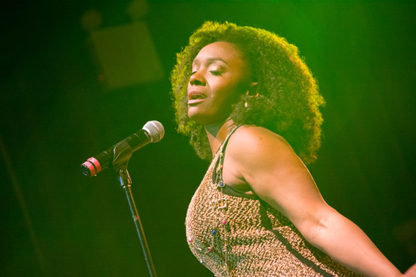 Photo Flash: Danielle Brooks, Ciara Renee & More Honor Whitney Houston at Latest BROADWAY SINGS Show  Image