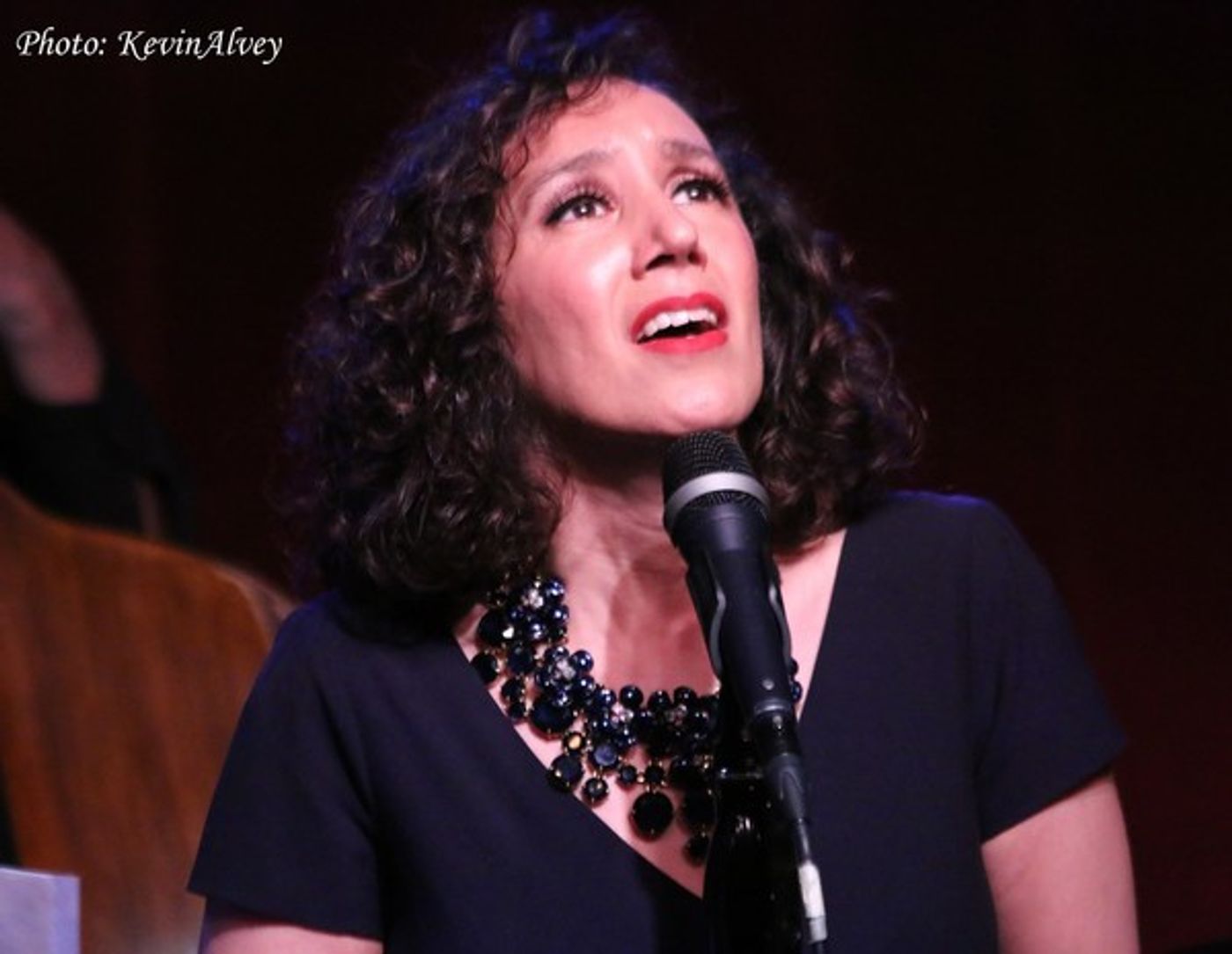 Photo Flash: Gabrielle Stravelli in ON THE ROAD AGAIN at Birdland  Image