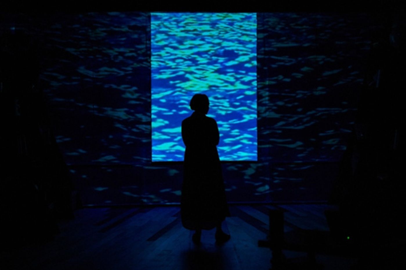 Photo Flash: First Look at Aurora Theatre's SOTTO VOCE Photo Flash: First Look at Aurora Theatre's SOTTO VOCE Image