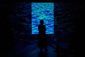 Marianne Fraulo @ BroadwayWorld Marianne Fraulo Photo