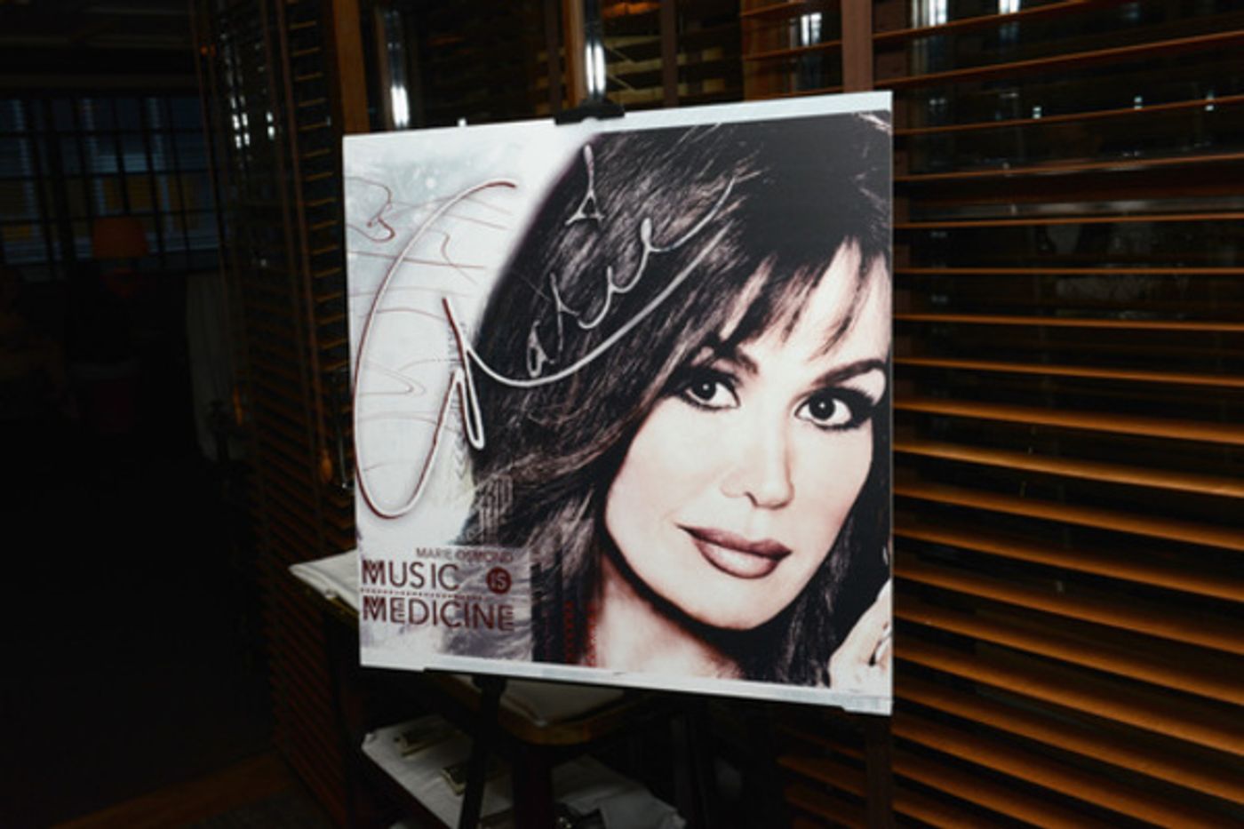 Photo Flash: Marie Osmond Celebrates Release of MUSIC IS MEDICINE Album Photo Flash: Marie Osmond Celebrates Release of MUSIC IS MEDICINE Album Image