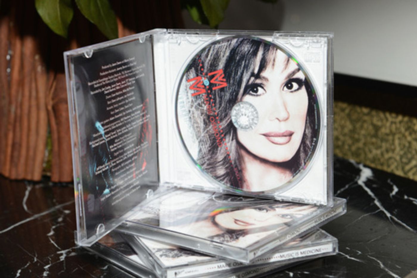 Photo Flash: Marie Osmond Celebrates Release of MUSIC IS MEDICINE Album Photo Flash: Marie Osmond Celebrates Release of MUSIC IS MEDICINE Album Image