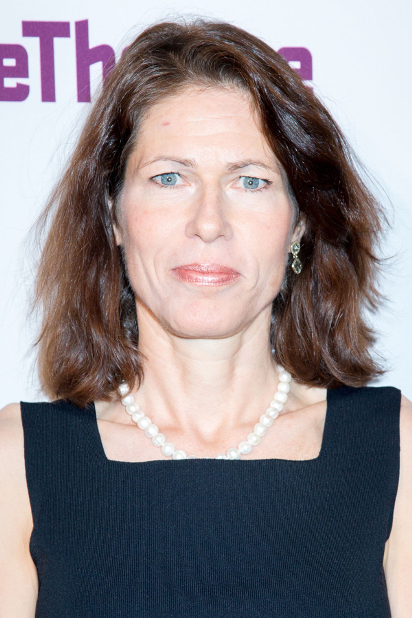 Photo Coverage: Signature Theatre Honors Founding Artistic Director James Houghton at 25th Anniversary Gala  Image