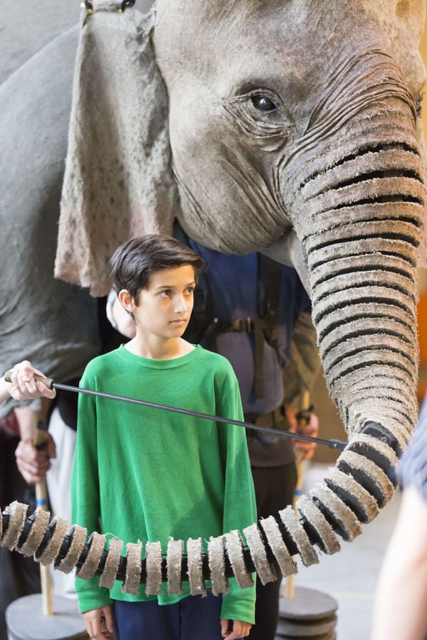 RUNNING WILD by Morpurgo,           , Writer - Michael Morpurgo, Adaption - Samuel Ad Photo
