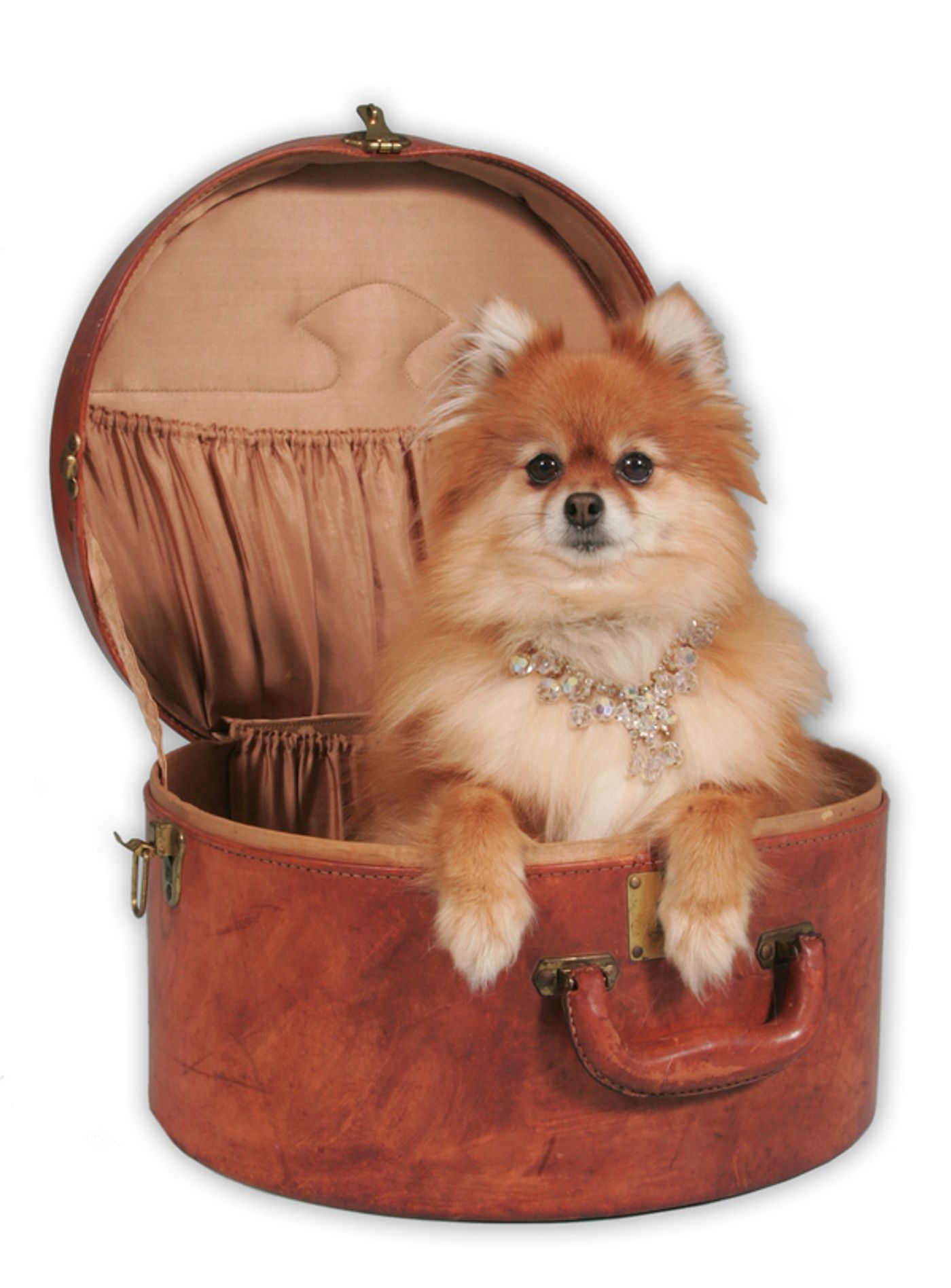 Photo Flash: Rashidra Scott and Company Get in Costume for Goodspeed's ANYTHING GOES  Image