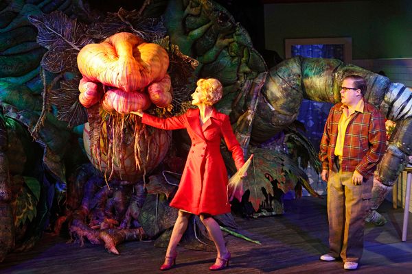 Photo Flash: First Look at Brent Hill, Esther Hannaford, and More in Adelaide's LITTLE SHOP OF HORRORS  Image