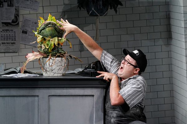 Photo Flash: First Look at Brent Hill, Esther Hannaford, and More in Adelaide's LITTLE SHOP OF HORRORS  Image