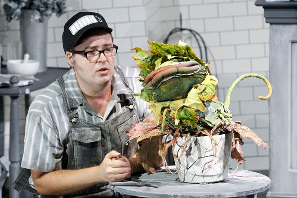 Photo Flash: First Look at Brent Hill, Esther Hannaford, and More in Adelaide's LITTLE SHOP OF HORRORS  Image