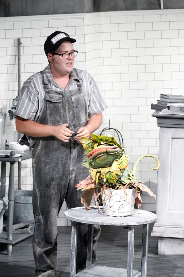 Photo Flash: First Look at Brent Hill, Esther Hannaford, and More in Adelaide's LITTLE SHOP OF HORRORS  Image