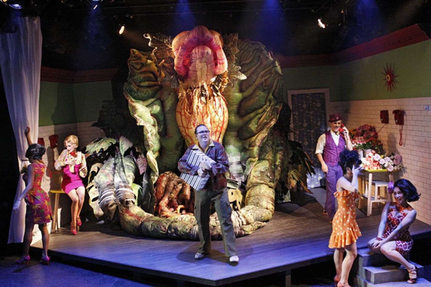Photo Flash: First Look at Brent Hill, Esther Hannaford, and More in Adelaide's LITTLE SHOP OF HORRORS  Image