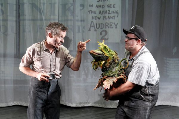 Photo Flash: First Look at Brent Hill, Esther Hannaford, and More in Adelaide's LITTLE SHOP OF HORRORS  Image