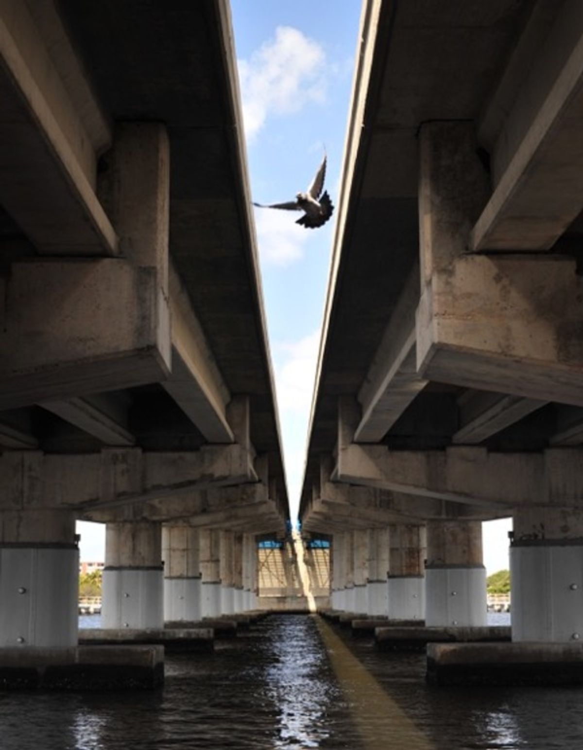 RUNNER-UP Jeffrey Langlois â€“ Lake Worth Bridge at 