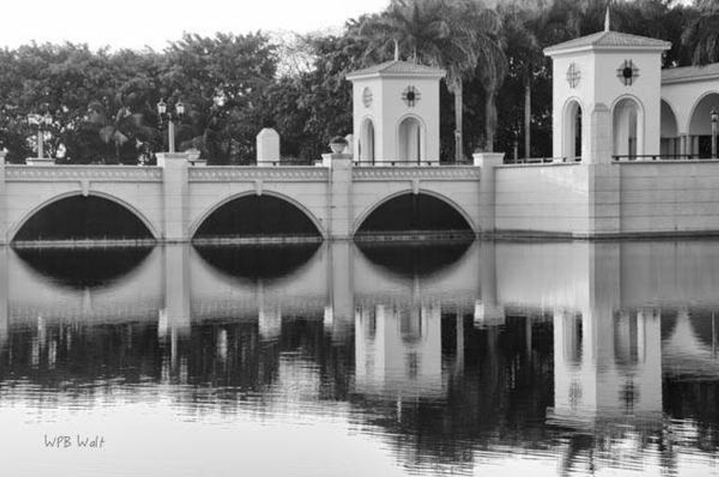 Photo Flash: See the Winners of 'The Bridges of Palm Beach County' Photo Contest  Image