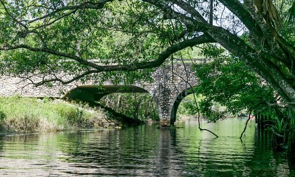 Photo Flash: See the Winners of 'The Bridges of Palm Beach County' Photo Contest  Image
