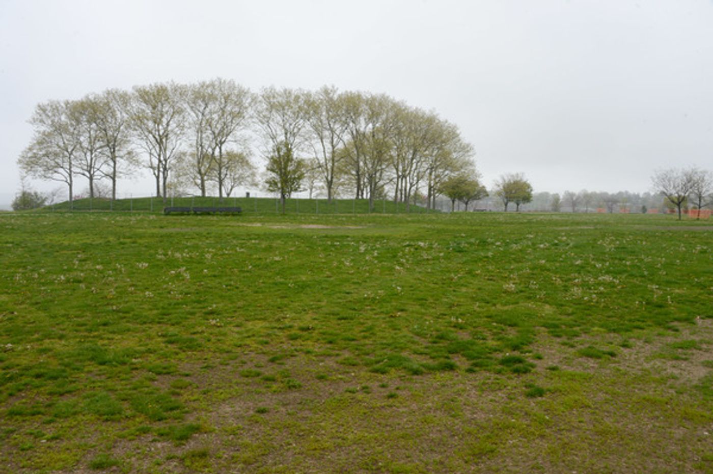 Photo Flash: Work Begins on $1.6 Million Renovation of Little Bay Park Soccer Fields Photo Flash: Work Begins on $1.6 Million Renovation of Little Bay Park Soccer Fields Image