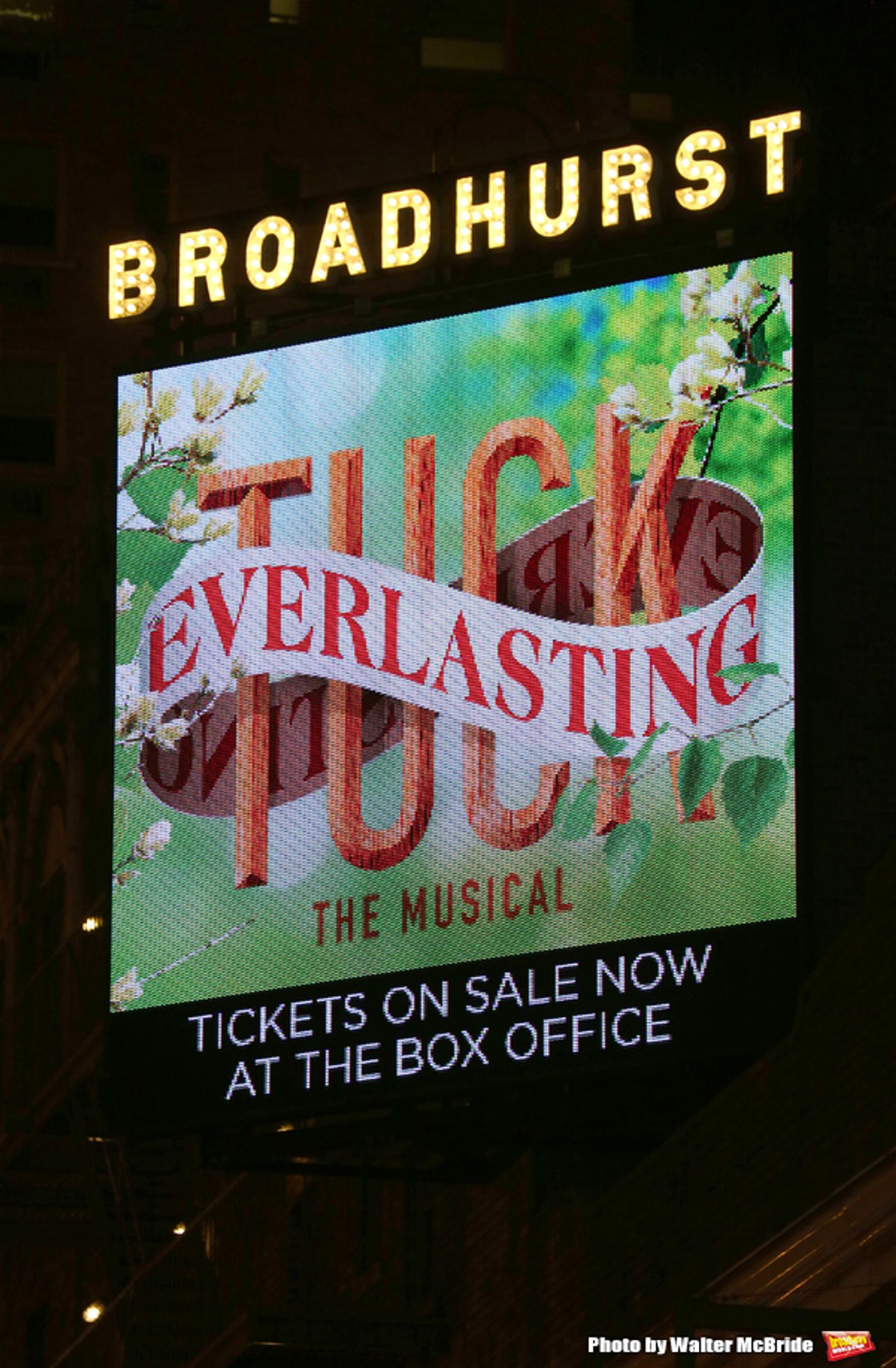 Photo Coverage: The Tucks Have Arrived! Go Inside TUCK EVERLASTING's Opening Night Bows  Image
