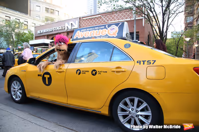  Trekkie Monster drives a New York City 'Avenue Q'  Photo